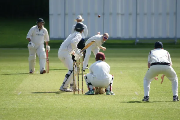 Cricket match in progress