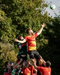 Rugby line-out